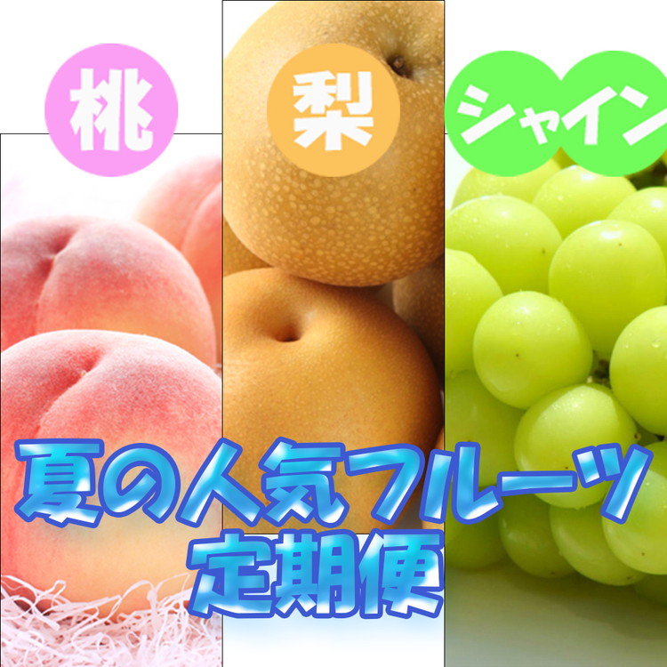 フルーツ 定期便 全3回 【7月・8月・9月発送】 和歌山の夏の
