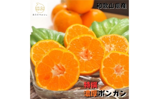 【特選】濃厚 ポンカン 3kg ｜ みかん 蜜柑 柑橘 果物 フルー