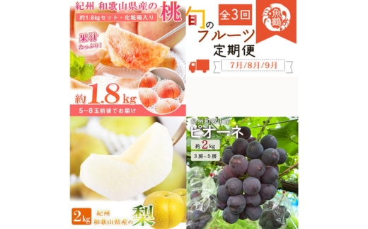 全3回 フルーツ定期便（桃7月、梨8月、ピオーネ9月発送）｜