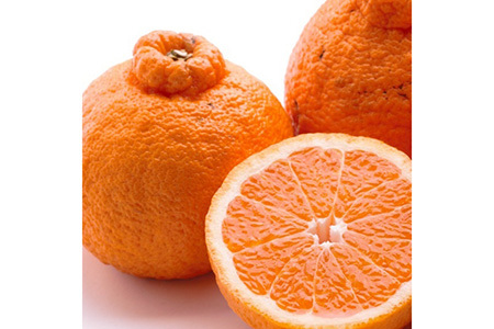 ＜2月より発送＞厳選 不知火10kg+250g（傷み補償分）【デコポ