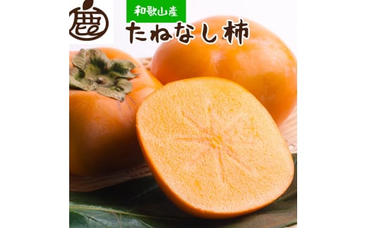 ＜10月より発送＞厳選たねなし柿7.5kg【刀根早生・平核無柿