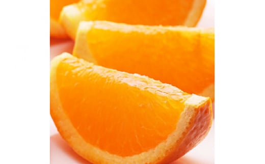 ＜2月より発送＞家庭用 清見オレンジ10kg+250g（傷み補償分）