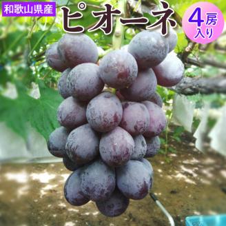 和歌山県産 ピオーネ 4房入り[2022年8月下旬以降出荷]| 産地直送 ブドウ ぶどう 果物 フルーツ ※離島への配送不可