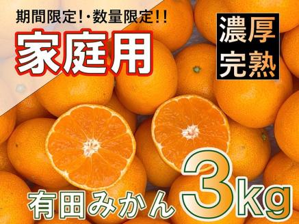 北真農園 有田みかん 家庭用 3kg 濃厚 完熟 お試しサイズ ORYY推奨 ※2024年11月上旬〜12月下旬頃に順次発送予定