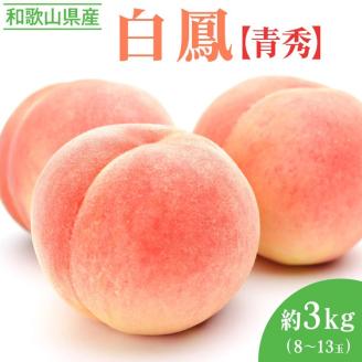 [先行予約受付]和歌山県産 白鳳 約3kg(8〜13玉入)≪青秀/ご家庭用/訳あり≫◇ ※着日指定不可 ※離島への配送不可 ※2024年6月下旬頃〜7月中旬頃に順次発送予定