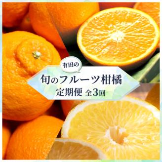 [定期便]有田の人気の旬のフルーツ柑橘定期便全3回 ※着日指定不可 ※2023年2月上旬頃より順次発送予定