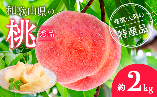 【産直・人気の特産品】和歌山の桃　約2kg・秀品◇ ｜ モモ