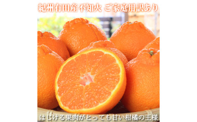 【ご家庭用訳有り】紀州有田産不知火(しらぬひ) 約8.5kg ※20