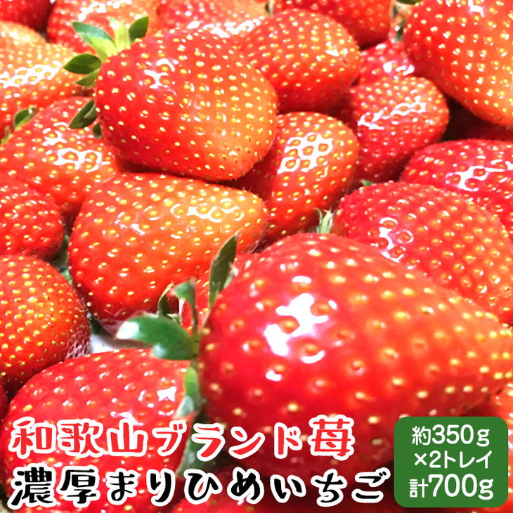 【和歌山ブランド苺】農家直送 濃厚 完熟 まりひめいちご 1