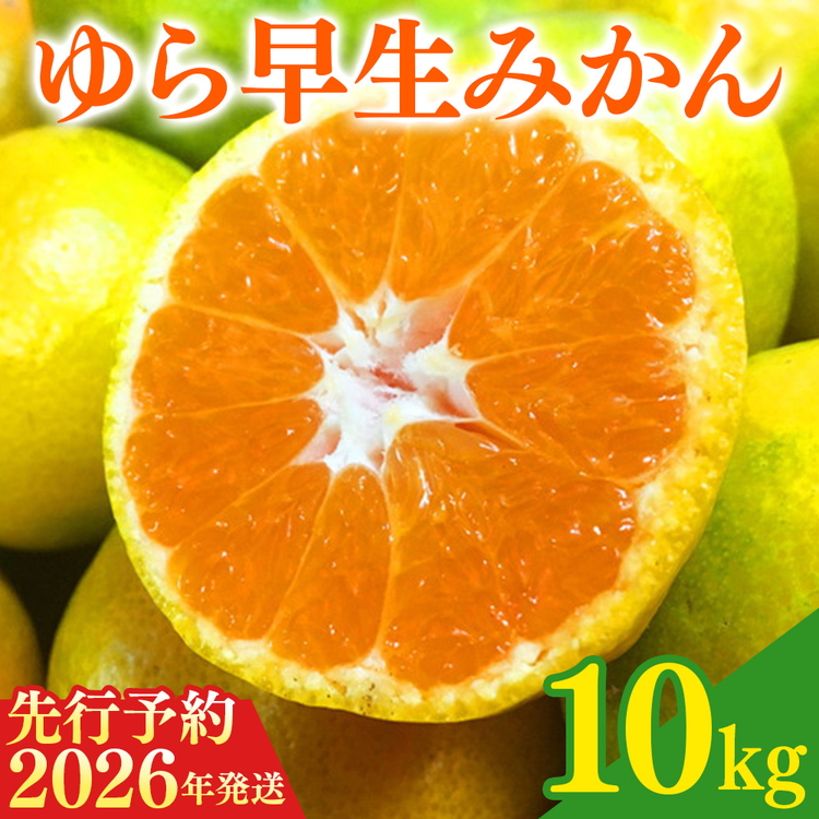 【2026年先行予約】紀州和歌山有田産ゆら早生みかん 10kg
