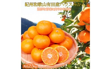 紀州和歌山有田産ハウスみかん 2.5kg 化粧箱入 ふるさと納税