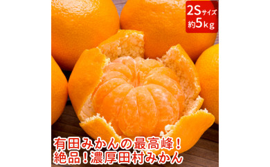 【和歌山特産品】【プレミアムブランド】絶品！濃厚田村