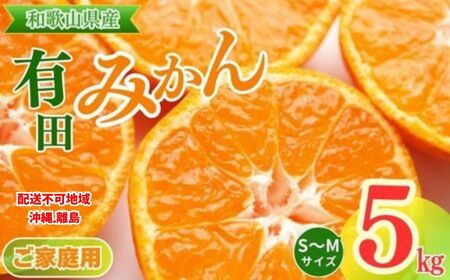 【ご家庭用】和歌山有田みかん約5kg(S、Mサイズ)〇 ｜ みか