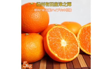 津之輝(つのかがやき) 5kg ※2026年2月上旬?2月下旬頃に順次