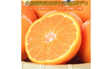 高級ブランド田村の完熟紀州デコ(不知火) ｜ 柑橘 不知火