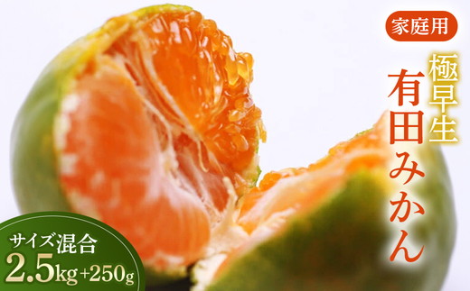 家庭用 極早生有田みかん2.5kg+250g（傷み補償分）【希少な新