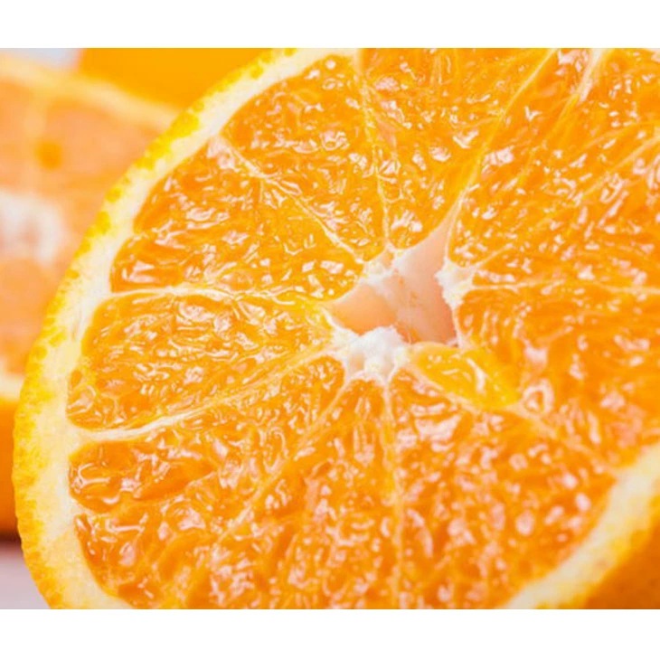 【先行予約】【農家直送】濃厚不知火（ご家庭用）約5kg ※2