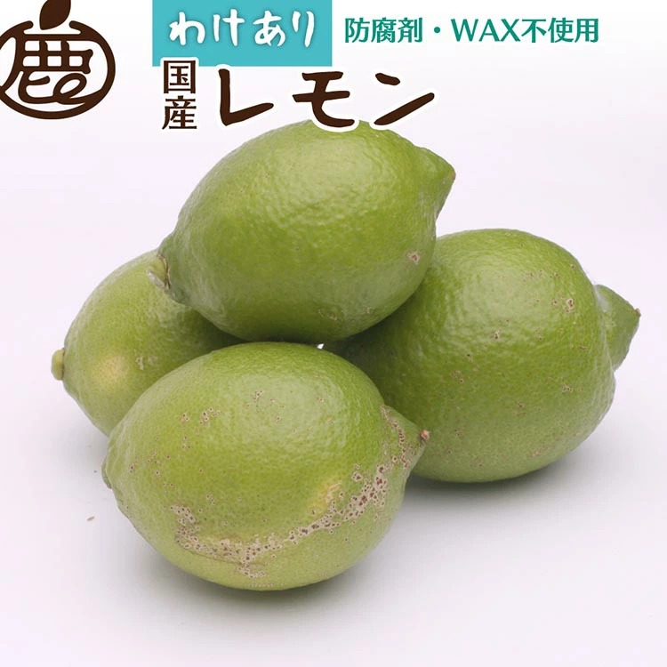 ＜9月より発送＞家庭用 レモン2.5kg+250g（傷み補償分）【和