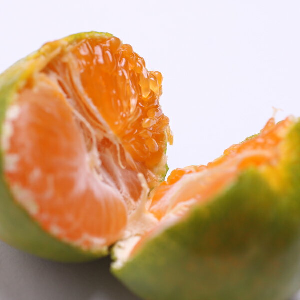 〈10月より発送〉ゆら早生 プレミアム有田みかん 1kg+250g（