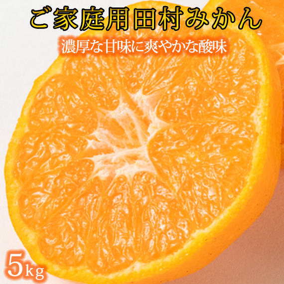 【先行予約】【ご家庭用訳あり】田村みかん ５ｋｇ◇｜ 有
