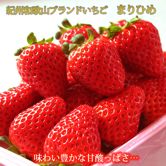 紀州和歌山ブランドいちご「まりひめ」約280g×2P ※2026年1月