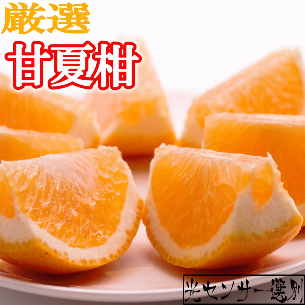 ＜4月より発送＞厳選 甘夏柑7.5kg+250g（傷み補償分）◇【初