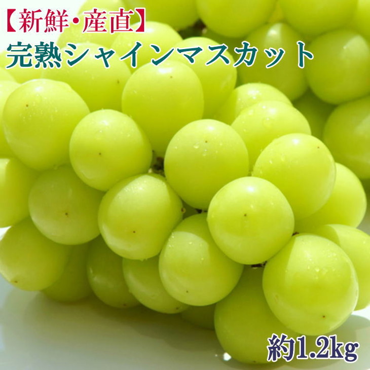 【新鮮・産直】和歌山かつらぎ町産の完熟シャインマスカ