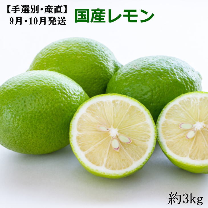 【手選別・産直】紀の川産の安心 国産 レモン 3kg （9月・10