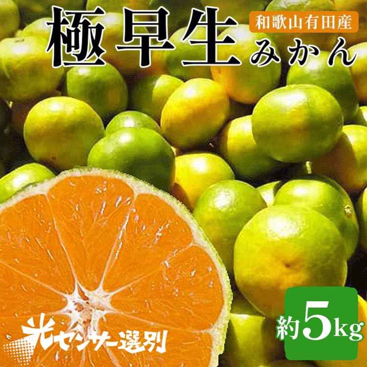 【先行予約】こだわりの極早生みかん 約5kg 農家直送 有機