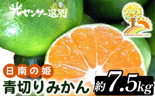 【先行予約】こだわりの青切りみかん 約7.5kg 農家直送 有機