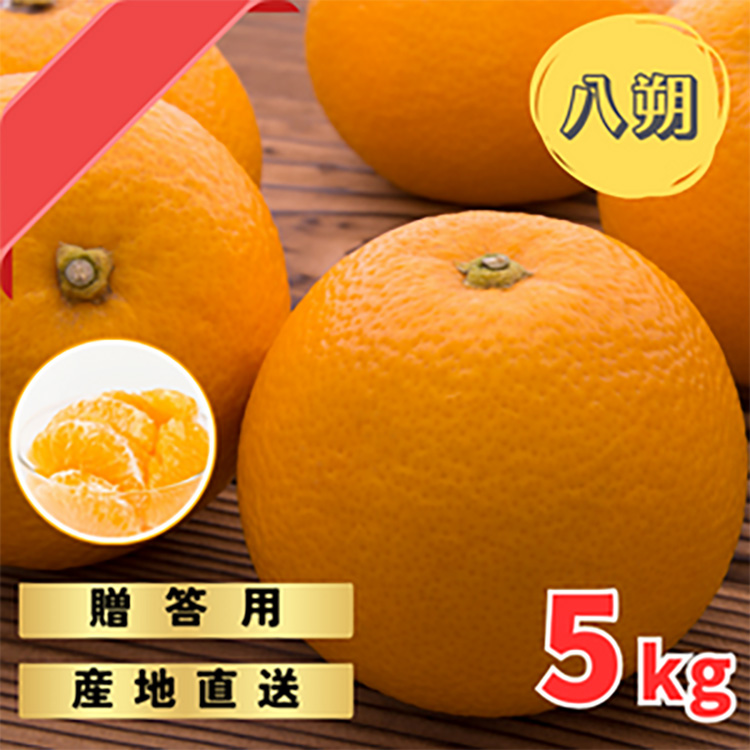完熟木なりハッサクみかん贈答用特選　5kg箱入 | はっさく