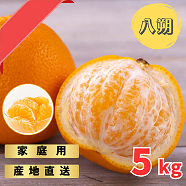 完熟木なりハッサクみかんご家庭用　5kg箱入 | はっさく み