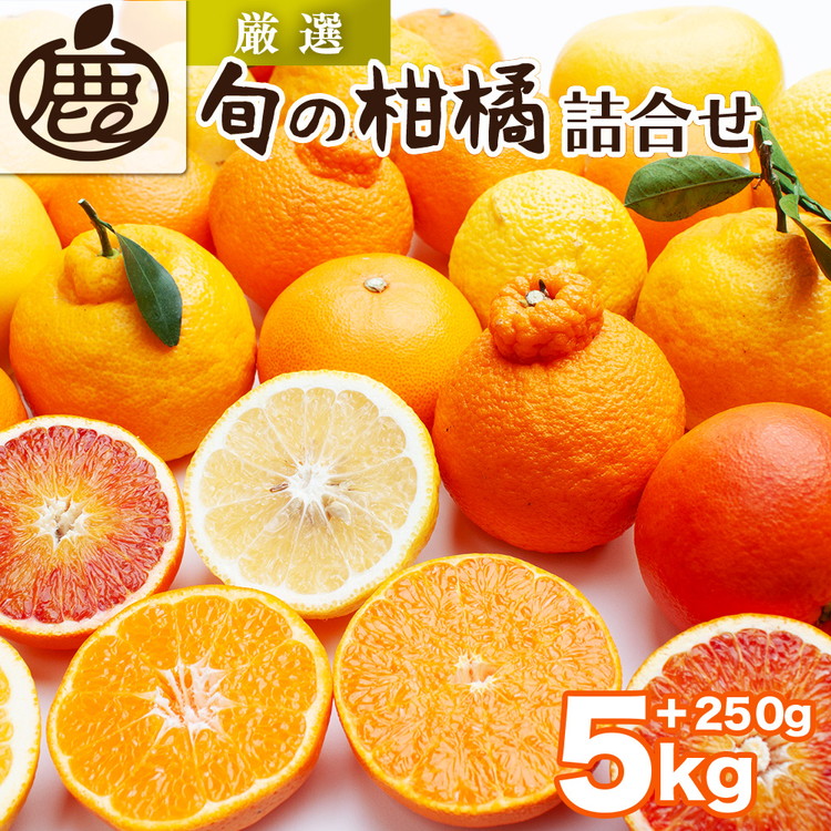 ＜1月より発送＞厳選 柑橘詰合せ5kg+250g（傷み補償分）◇【