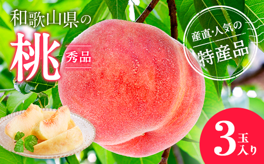 【産直・人気の特産品】和歌山の桃　3玉入り※着日指定不