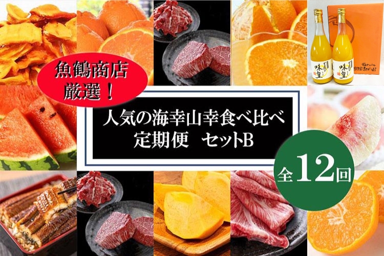 〈毎月定期便〉人気の海幸山幸食べ比べ セットB 【定期便