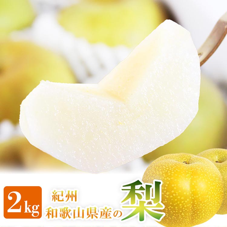 紀州和歌山産の梨 約2kg 化粧箱入◇ ※離島への配送不可 ※2