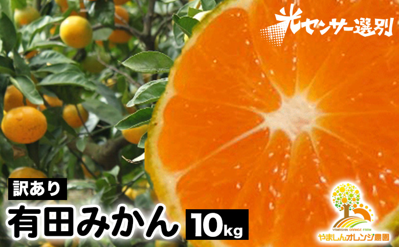 【訳あり】有田みかん 10kg | 農家直送 訳あり ご家庭用 サイ