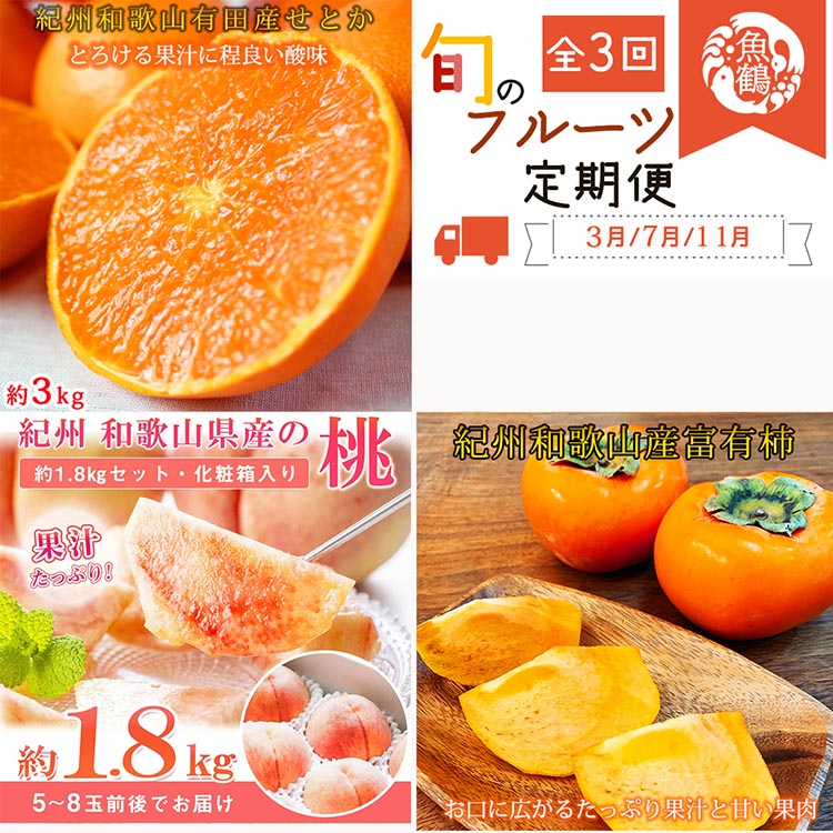 〈定期便〉【3・7・11月 全3回】紀州和歌山産旬のフルーツ