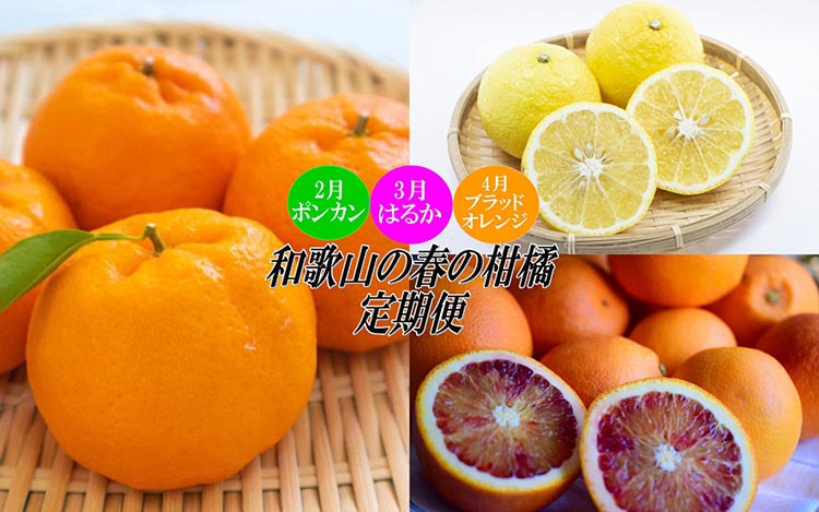 〈定期便〉【2・3・4月 全3回】和歌山の春の柑橘（ポンカン