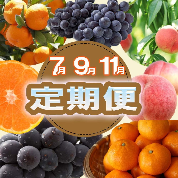 〈定期便〉【7・9・11月 全3回】産直・和歌山フルーツ（桃
