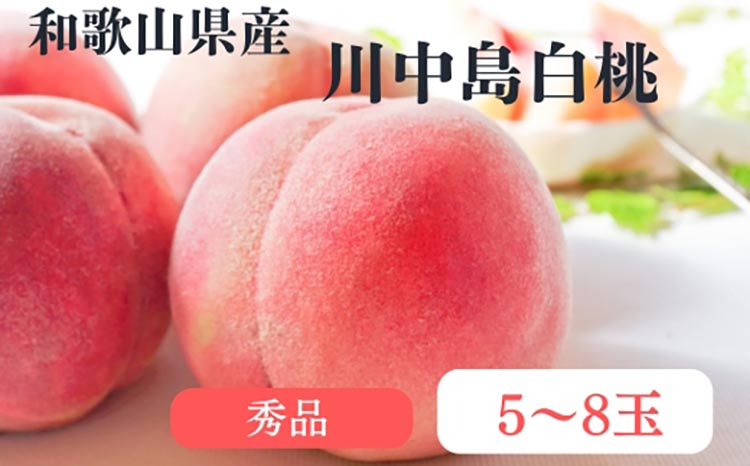 和歌山県産 川中島白桃 桃 5～8玉入り 秀品 先行予約 | 和歌