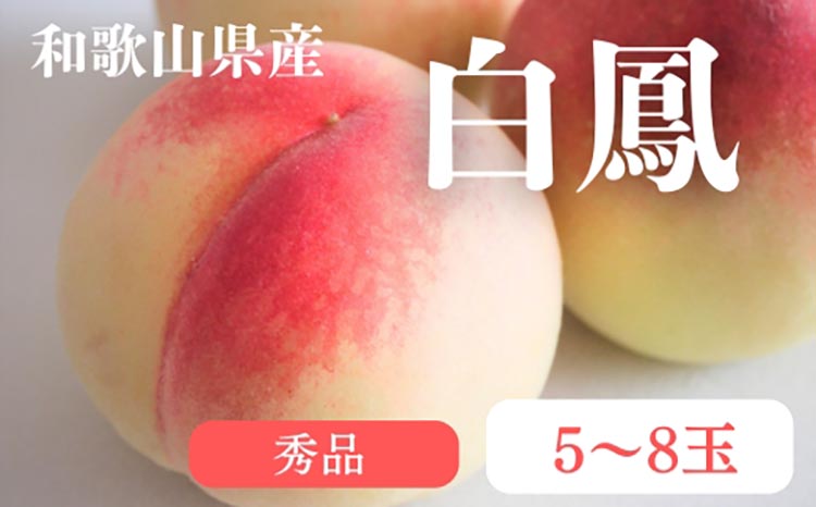 和歌山県産 白鳳 桃 5～8玉入り 秀品 先行予約 | 和歌山県 白