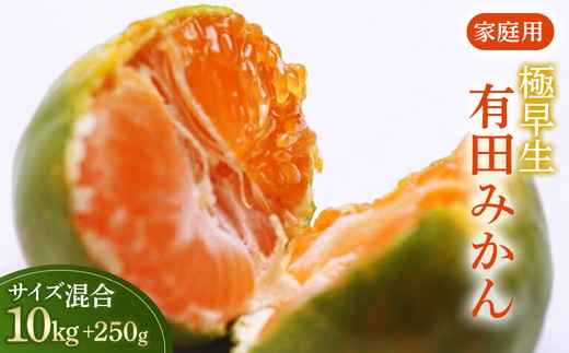 家庭用 極早生有田みかん10kg+250g（傷み補償分）【YN26・ゆら
