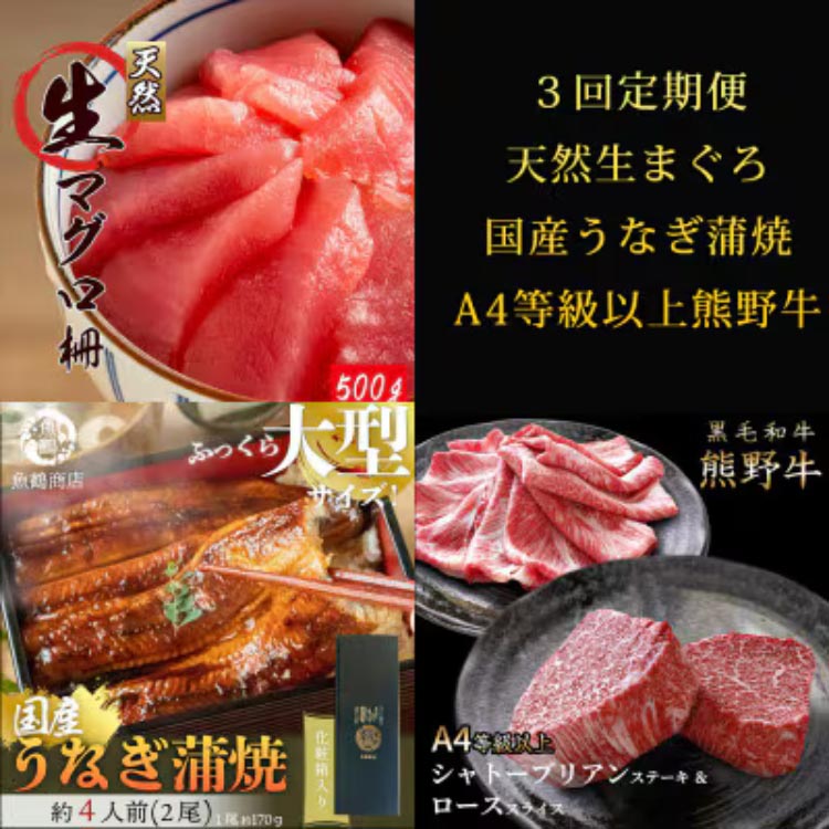 〈毎月定期便〉紀州和歌山うまいもんセットA(生まぐろ・う