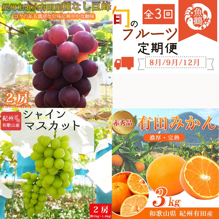 〈定期便〉【8・9・12月 全3回】紀州和歌山産旬のフルーツ