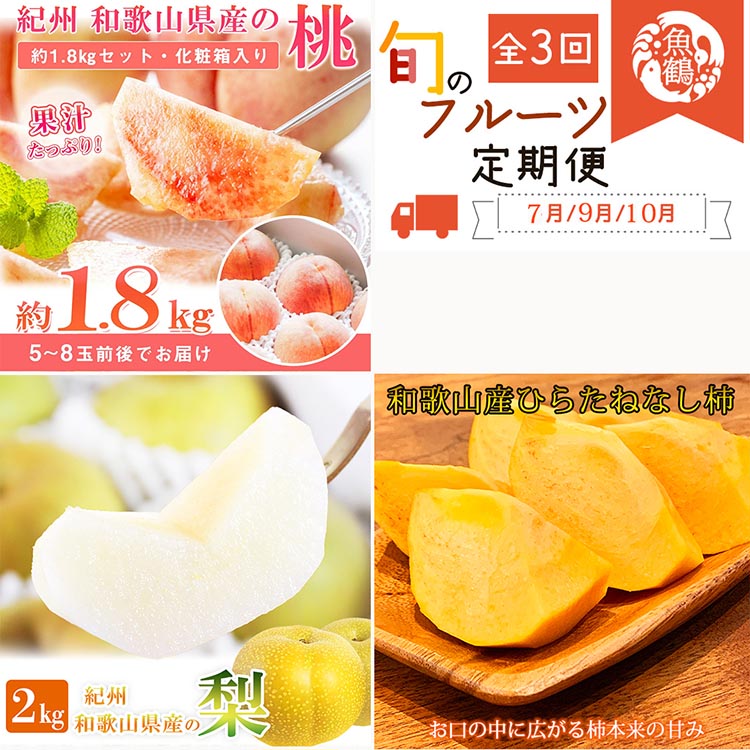 〈定期便〉【7・9・10月 全3回】紀州和歌山産旬のフルーツ