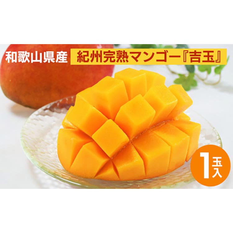 ◆先行予約◆和歌山県産　紀州完熟マンゴー『吉玉』1玉入