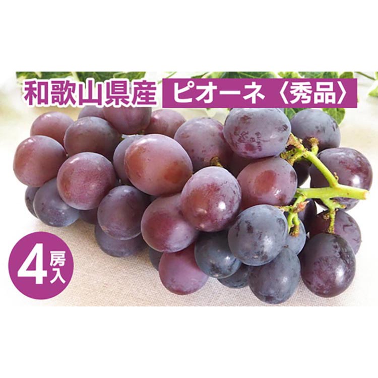 ◆先行予約◆ 和歌山県産 ピオーネ 4房入り〈秀品〉 ※2025