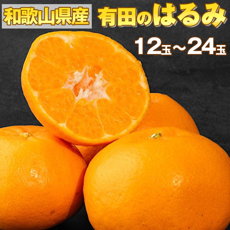 【産地直送】和歌山県産 有田のはるみ 12玉～24玉 ※2026年1