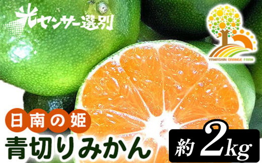 【先行予約】こだわりの青切りみかん 約2kg 農家直送 有機
